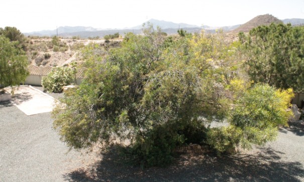 Sale - Detached Villa -
Abanilla - Abanilla Murcia