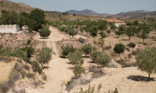 Sale - Detached Villa -
Abanilla - Abanilla Murcia