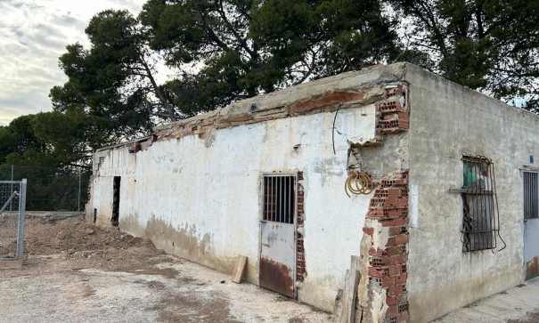 Videresalg - Finca landejendom -
Crevillente