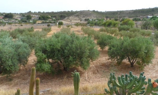 Sale - Finca Country Property -
Elche