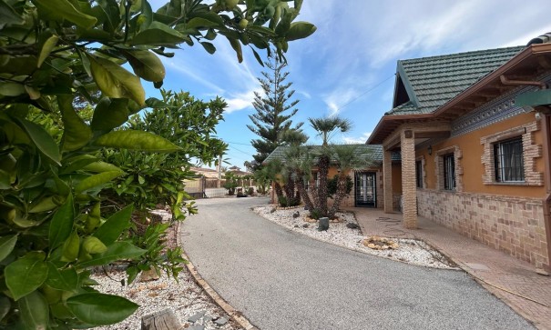 Videresalg - Finca landejendom -
Catral