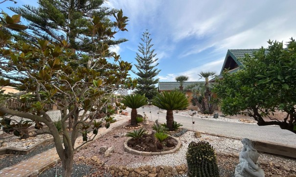 Videresalg - Finca landejendom -
Catral