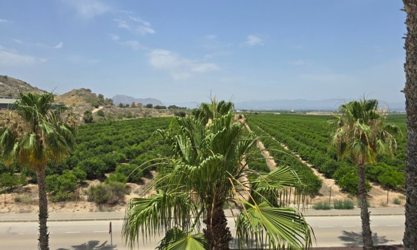 Venta - Villa adosada -
Algorfa - La Finca Golf Resort