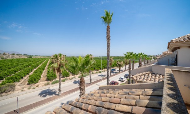 Revente - Appartement -
Algorfa