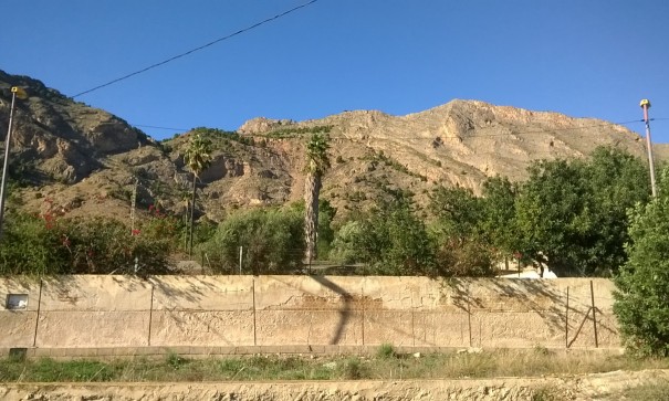 Venta - Finca Propiedad rural -
Orihuela