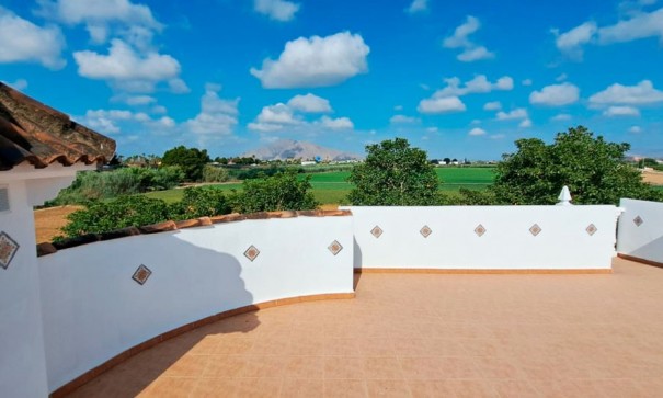 Återförsäljning - Finca lantlig egendom -
Catral - Catral - Country