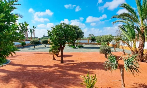 Återförsäljning - Finca lantlig egendom -
Catral - Catral - Country