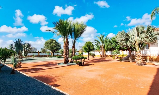 Återförsäljning - Finca lantlig egendom -
Catral - Catral - Country