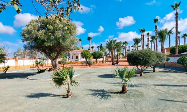 Återförsäljning - Finca lantlig egendom -
Catral - Catral - Country