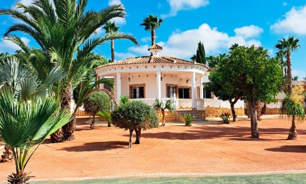 Återförsäljning - Finca lantlig egendom -
Catral - Catral - Country