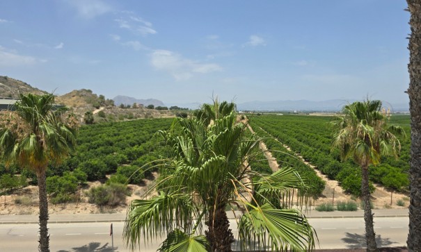 Sale - Detached Villa -
Algorfa - La Finca Golf Resort