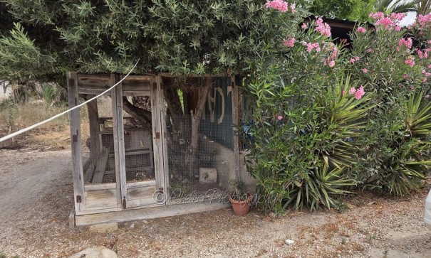 Herverkoop - Stadswoning -
Catral - CatralAlicanteValenciaSpain