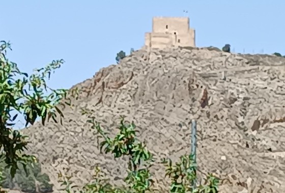 Sale - Finca Country Property -
Jumilla