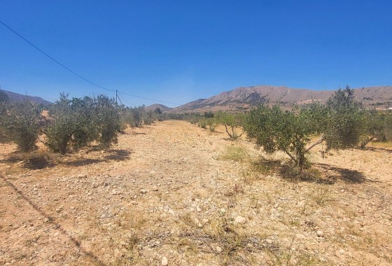 Venta - Finca Propiedad rural -
La Romana