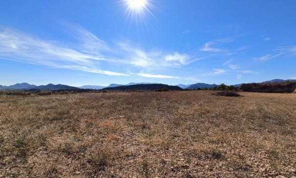 New Build - Detached Villa -
Novelda