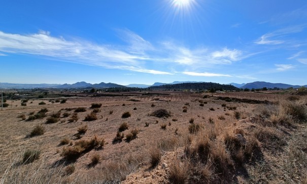 New Build - Detached Villa -
Novelda