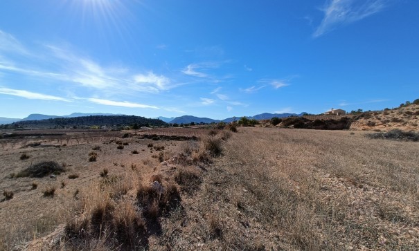 New Build - Detached Villa -
Novelda