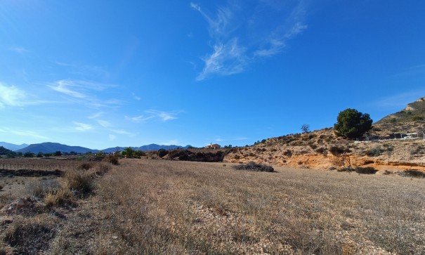 New Build - Detached Villa -
Novelda