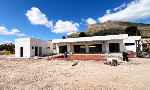 New Build - Detached Villa -
Novelda