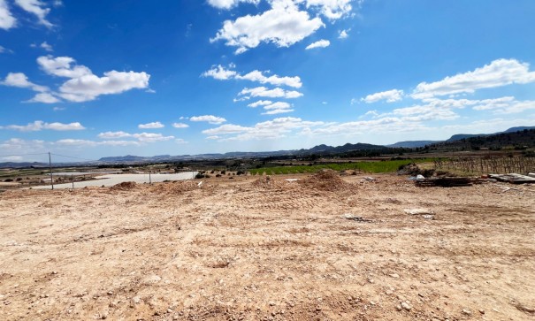 New Build - Detached Villa -
Novelda