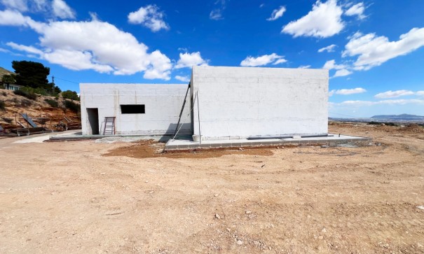 New Build - Detached Villa -
Novelda