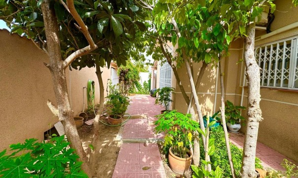 Venta - Chalet Independiente -
Torrevieja - Los Balcones - Los Altos del Edén