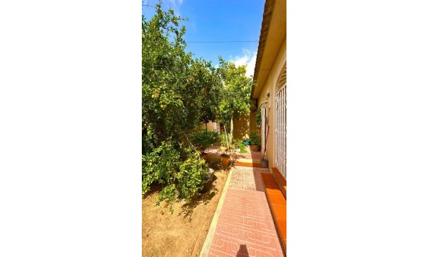 Venta - Chalet Independiente -
Torrevieja - Los Balcones - Los Altos del Edén