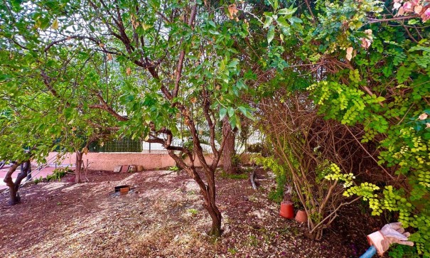 Venta - Chalet Independiente -
Torrevieja - Los Balcones - Los Altos del Edén