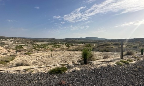 Plot Land - Sale - Torremendo -
                Torremendo