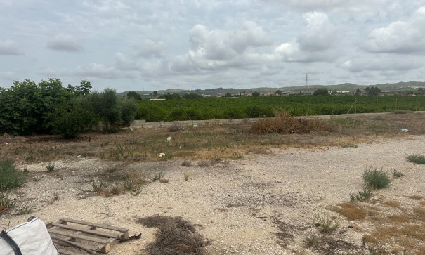 Sale - Commercial -
Torremendo