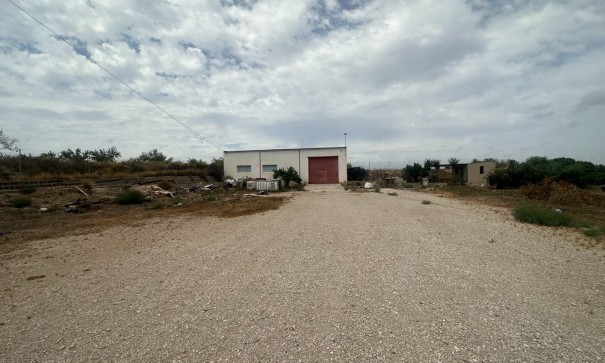 Sale - Commercial -
Torremendo