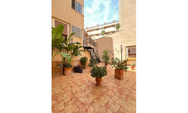 Venta - Apartamento piso -
Torrevieja - Curva del Palangre