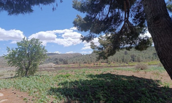 Revente - Finca Propriété rurale -
Yecla