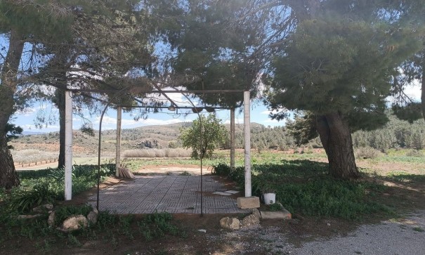 Revente - Finca Propriété rurale -
Yecla