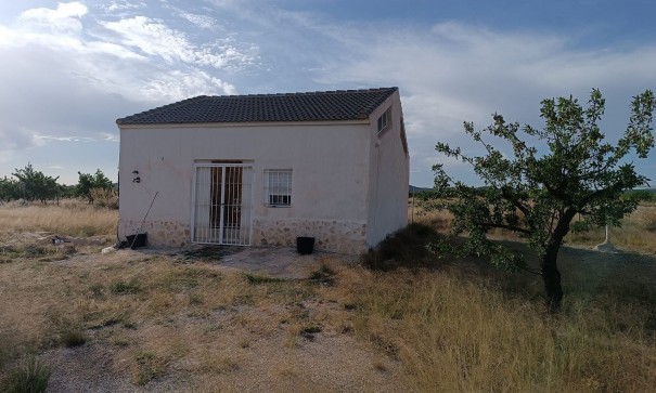 Resale - Finca Landgut -
Yecla