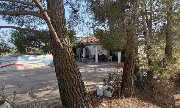 Herverkoop - Vrijstaande Villa -
Yecla