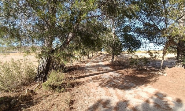 Herverkoop - Vrijstaande Villa -
Yecla