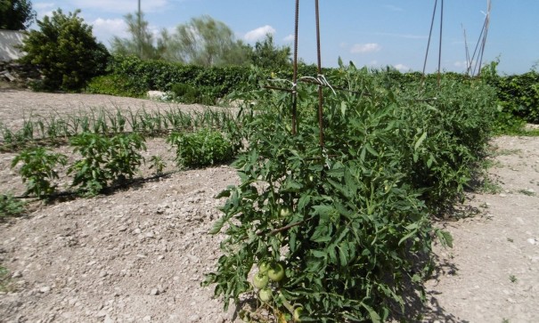 Videresalg - Fritliggende villa -
Yecla