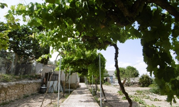 Videresalg - Fritliggende villa -
Yecla