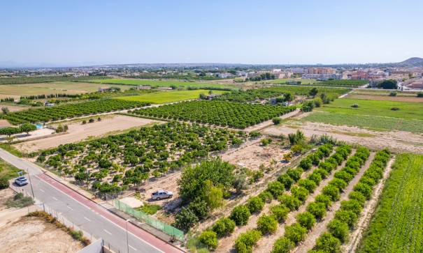 Herverkoop - Perceel Grond -
Formentera del Segura - Formentera de Segura