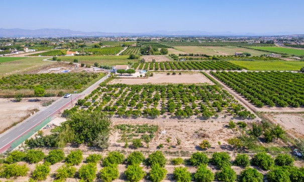 Herverkoop - Perceel Grond -
Formentera del Segura - Formentera de Segura