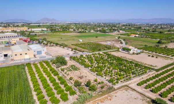 Herverkoop - Perceel Grond -
Formentera del Segura - Formentera de Segura