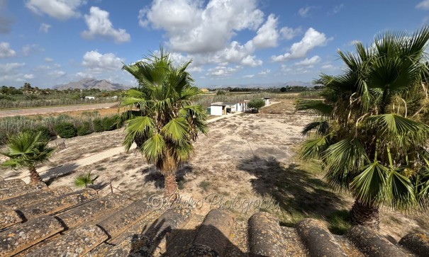 Resale - Freistehende Villa -
Catral - CatralAlicanteValenciaSpain