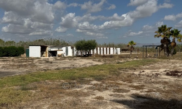 Resale - Freistehende Villa -
Catral - CatralAlicanteValenciaSpain