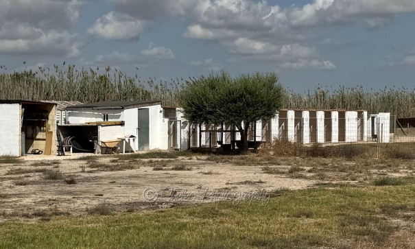 Resale - Freistehende Villa -
Catral - CatralAlicanteValenciaSpain