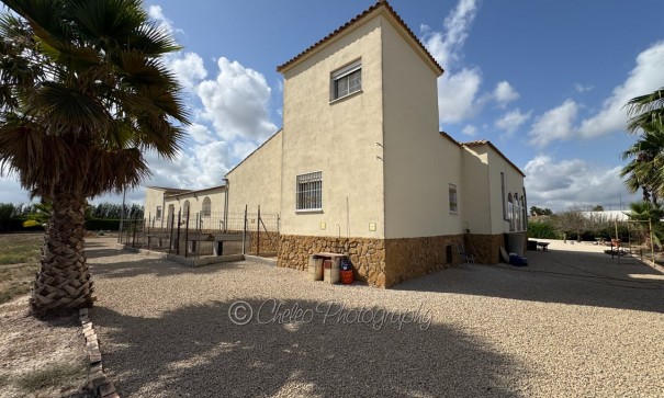 Resale - Freistehende Villa -
Catral - CatralAlicanteValenciaSpain
