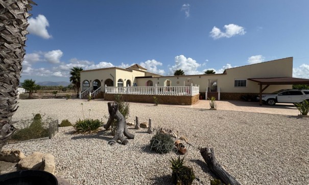 Resale - Freistehende Villa -
Catral - CatralAlicanteValenciaSpain