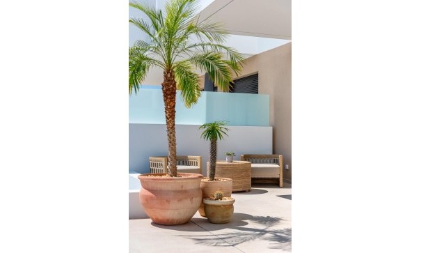 New Build - Detached Villa -
Dolores - Sector 3