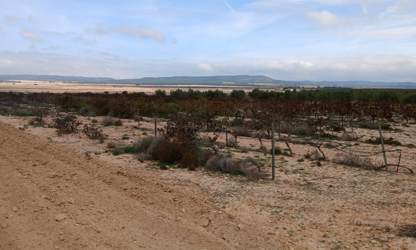 Återförsäljning - Vomt Mark -
Yecla