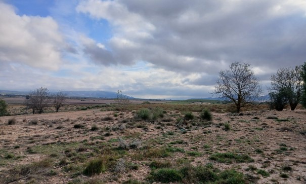 Återförsäljning - Vomt Mark -
Yecla